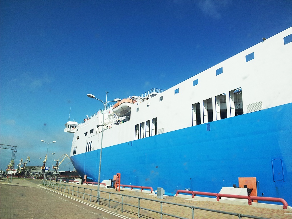 8fe5fca658.jpg